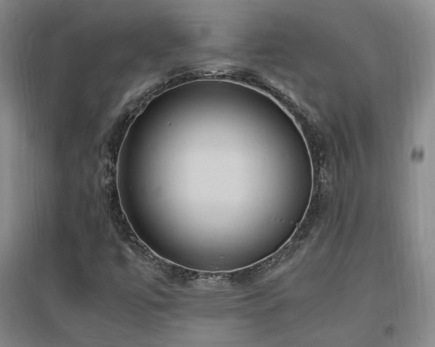 X0000097461447200802221201