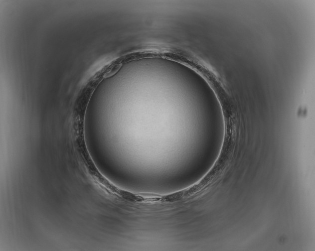 X0000097461448200802221201
