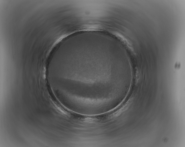 X0000097461449200802221201