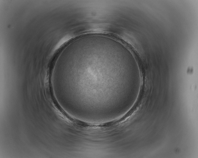 X0000097461450200802221201