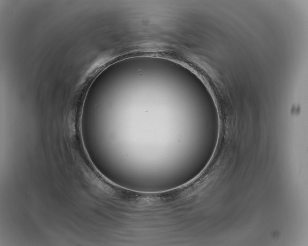 X0000097461451200802221201