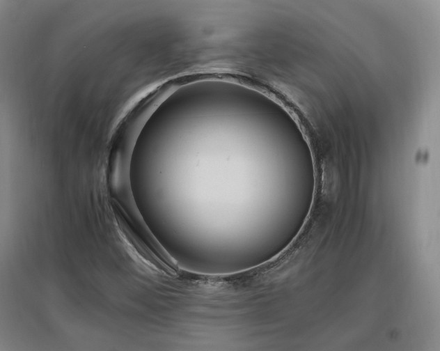X0000097461452200802221201