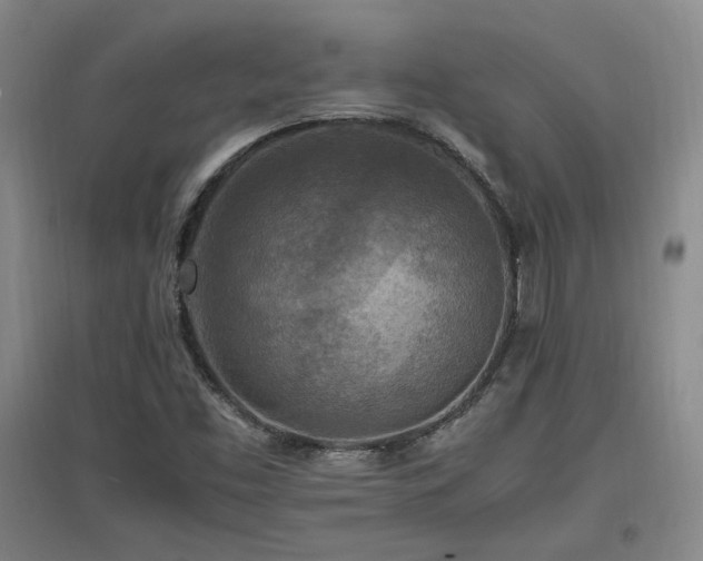 X0000097461453200802221201