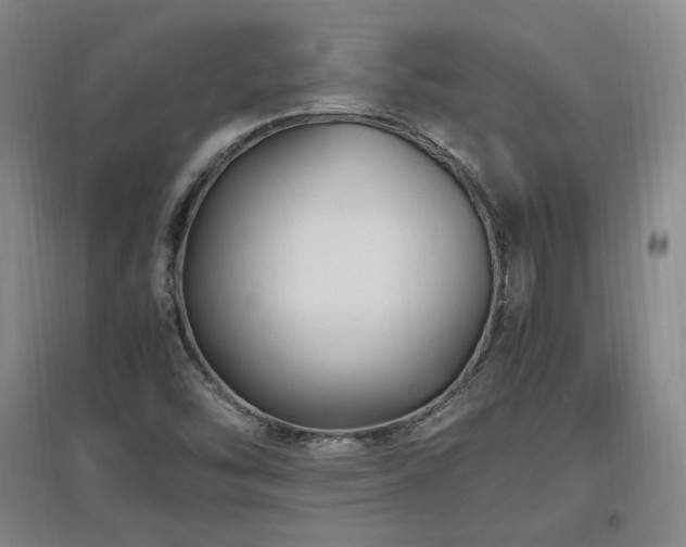 X0000097461454200802221201