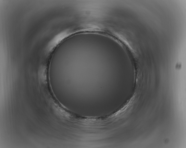 X0000097461455200802221201