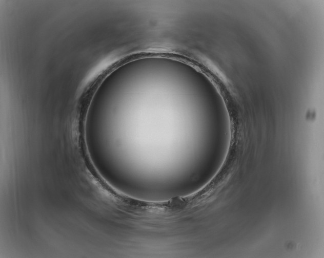 X0000097461456200802221201