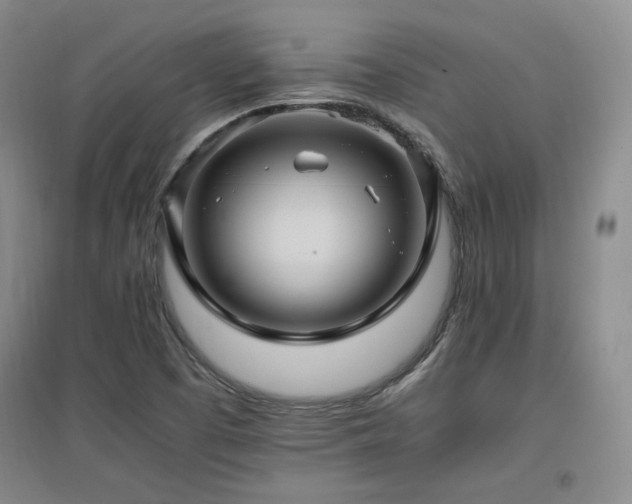 X0000097461457200802221201