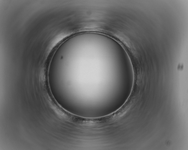 X0000097461458200802221201