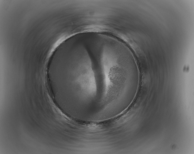 X0000097461459200802221201