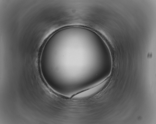 X0000097461460200802221201