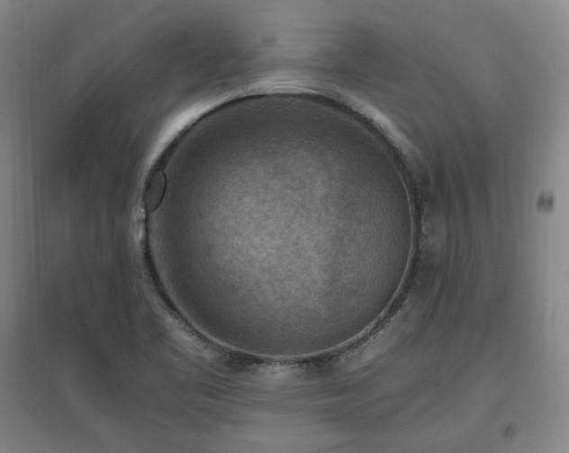 X0000097461461200802221201