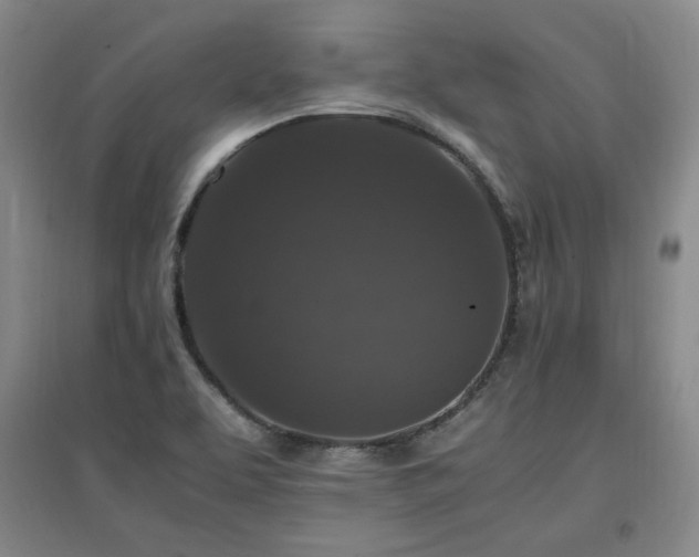 X0000097461463200802221201