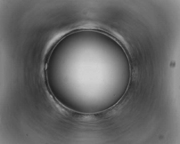 X0000097461464200802221201