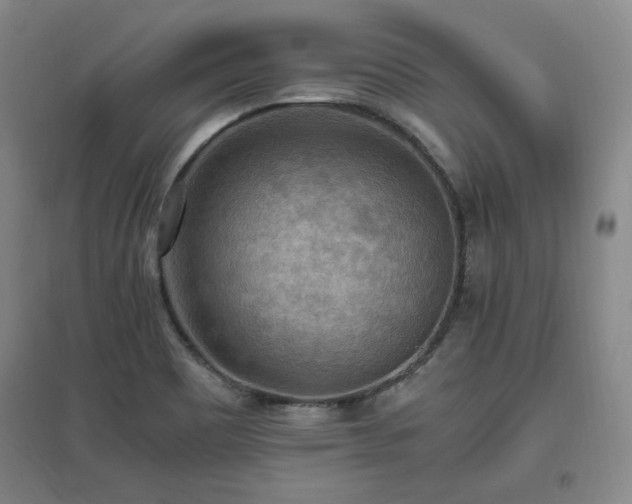 X0000097461465200802221201