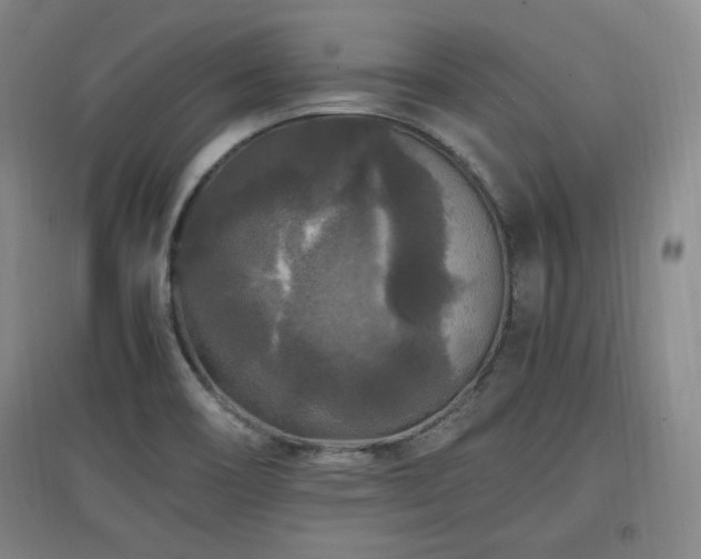 X0000097461466200802221201