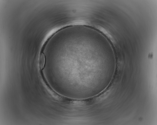 X0000097461469200802221201