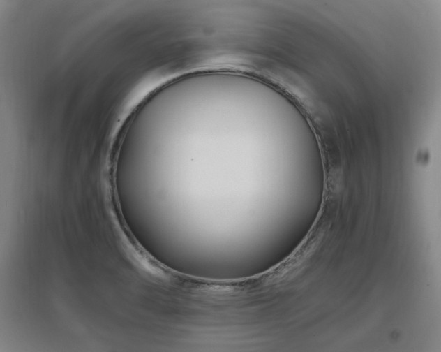 X0000097461470200802221201