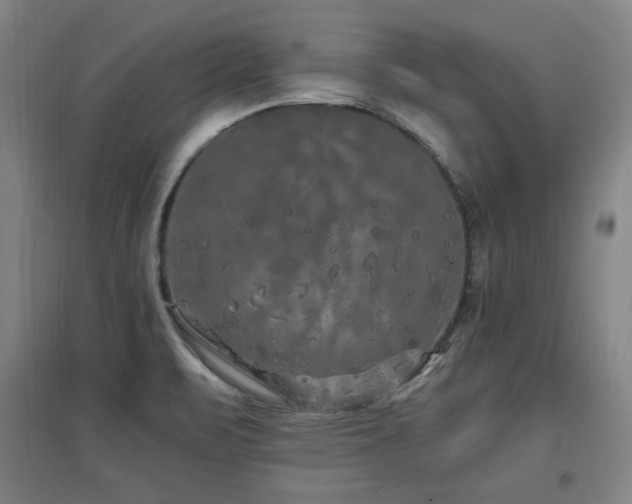 X0000097461471200802221201