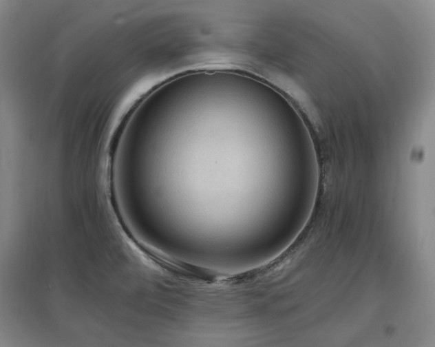 X0000097461472200802221201