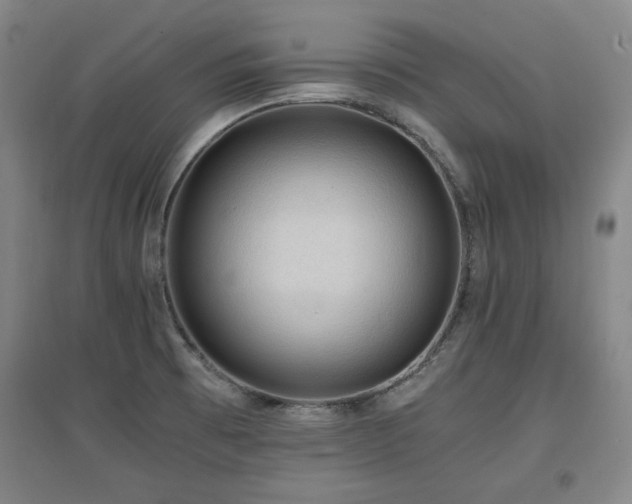 X0000097461473200802221201
