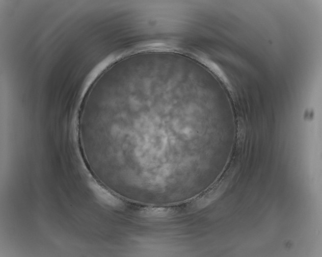 X0000097461474200802221201