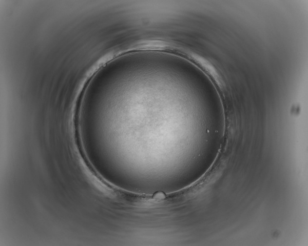 X0000097461475200802221201