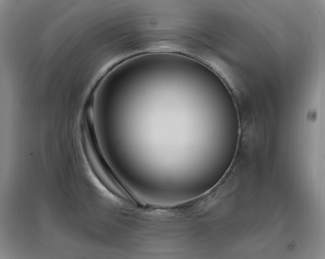X0000097461476200802221201