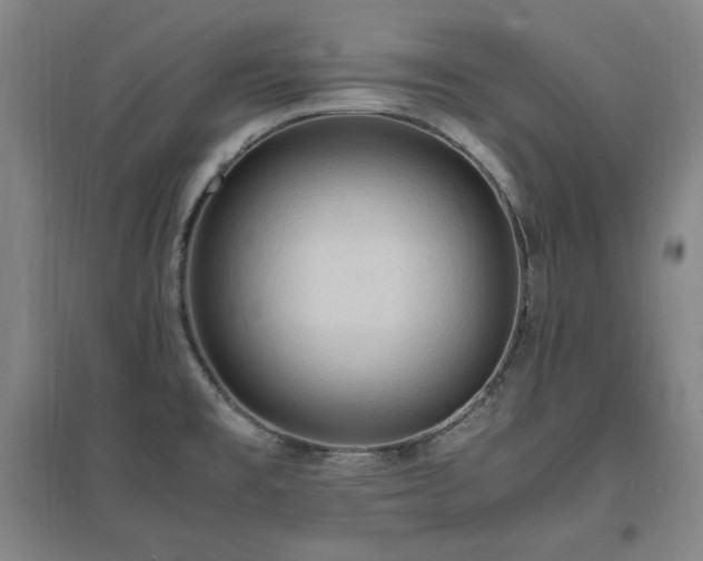 X0000097461477200802221200