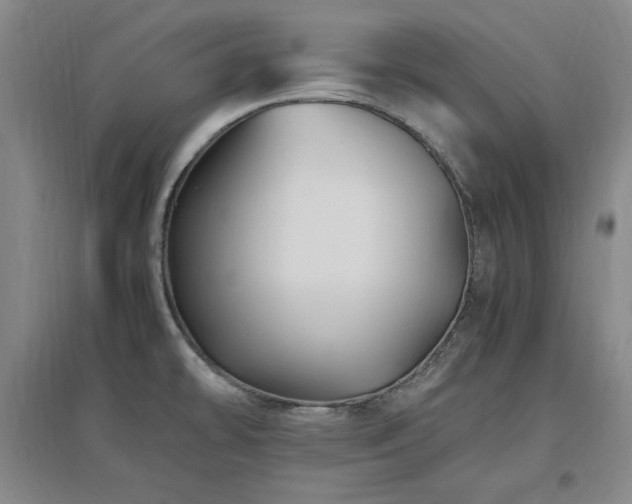 X0000097461478200802221200