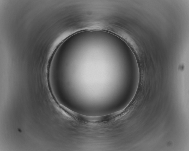X0000097461480200802221200