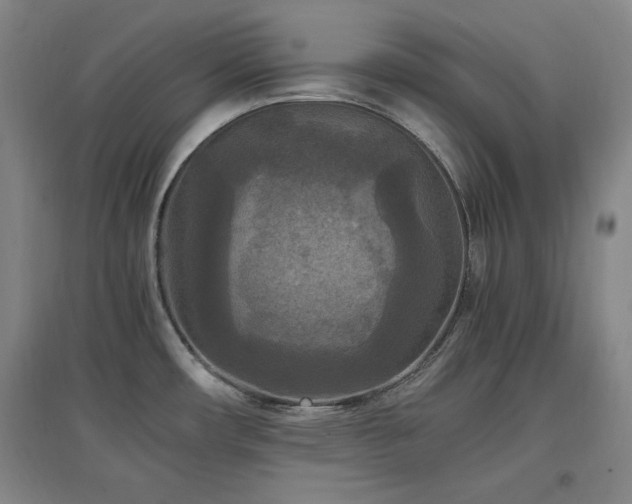 X0000097461482200802221200