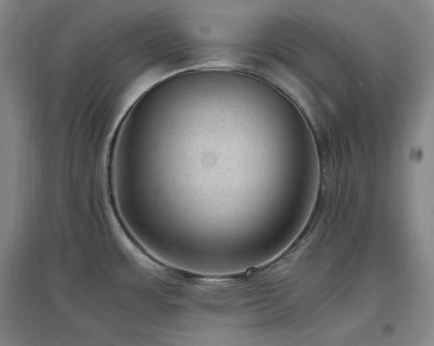 X0000097461483200802221200