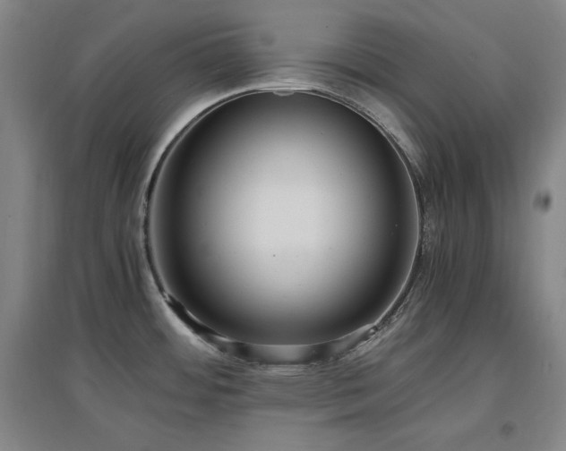 X0000097461484200802221200