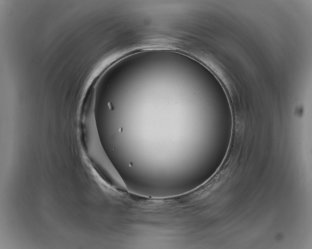 X0000097461485200802221200