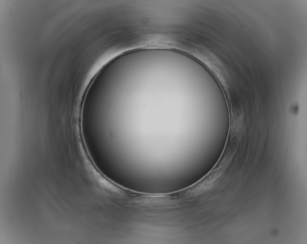 X0000097461486200802221200