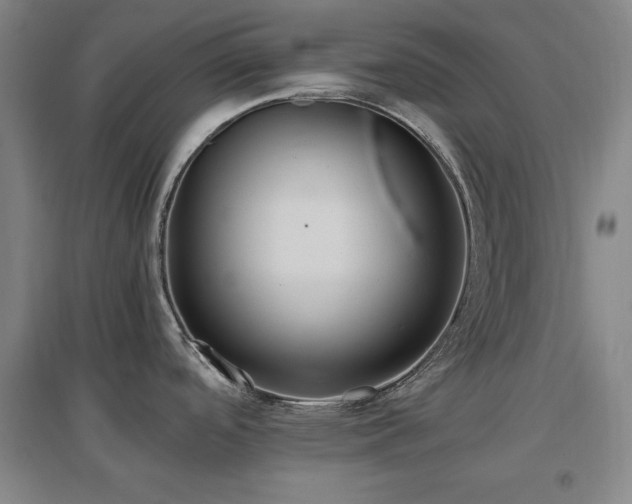 X0000097461488200802221200