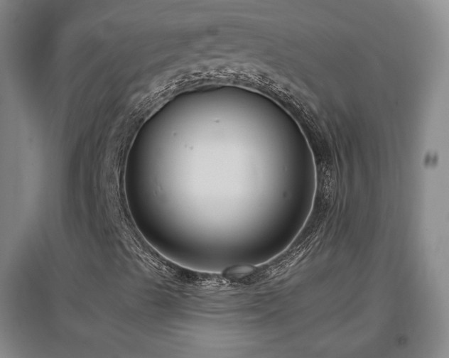 X0000097461489200802221159