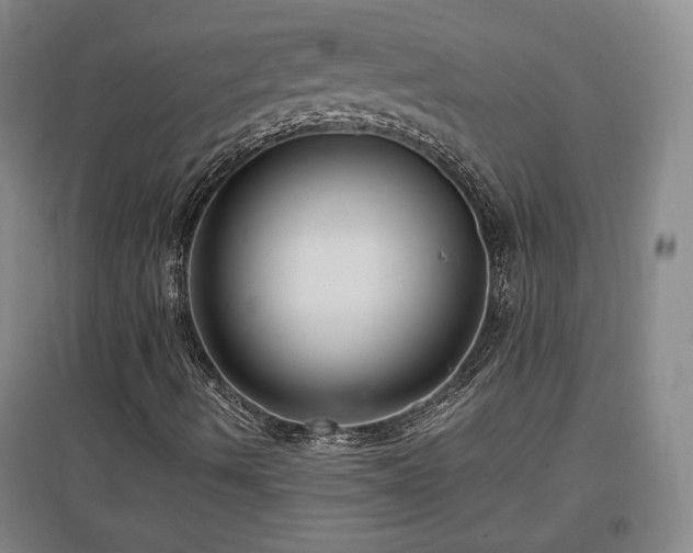 X0000097461490200802221200