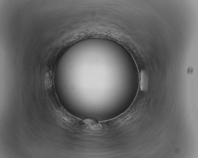 X0000097461491200802221200