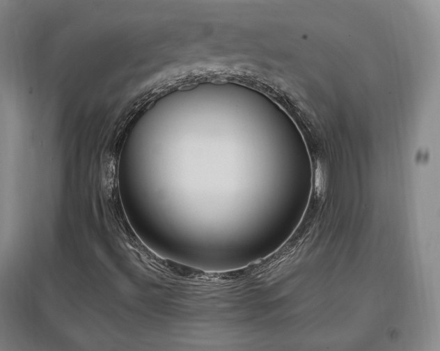X0000097461492200802221200