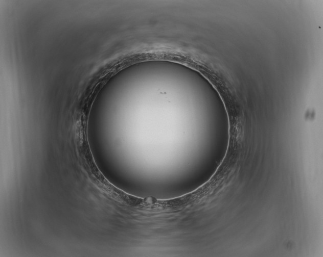 X0000097461493200802221200
