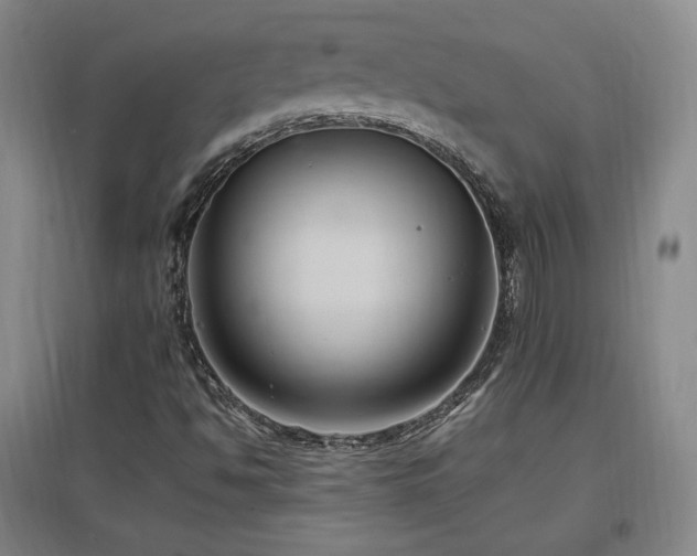X0000097461494200802221200