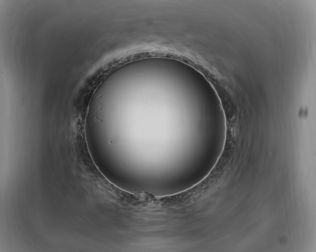 X0000097461495200802221200