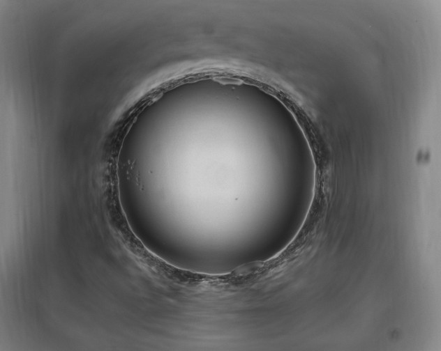 X0000097461496200802221200