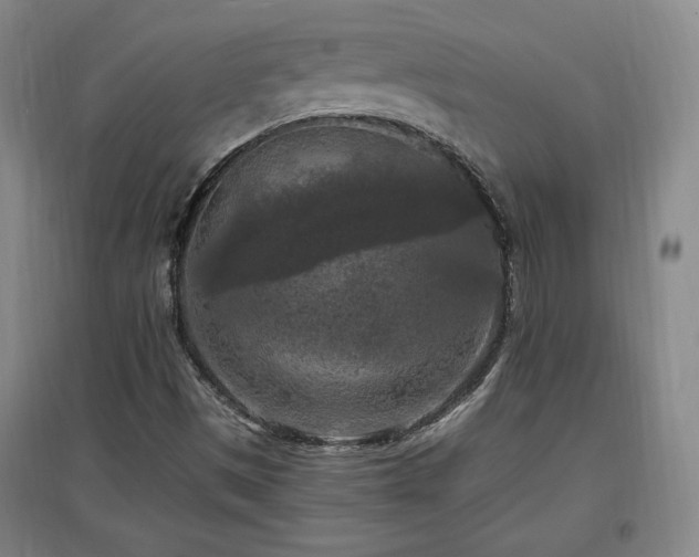 X0000097461497200802221200