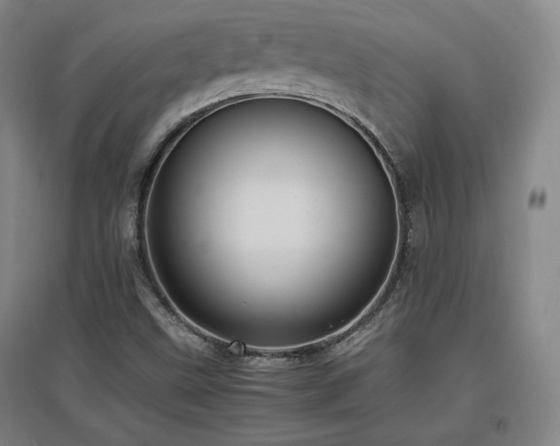 X0000097461499200802221200