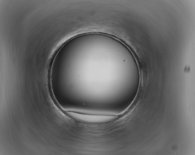 X0000097461500200802221200