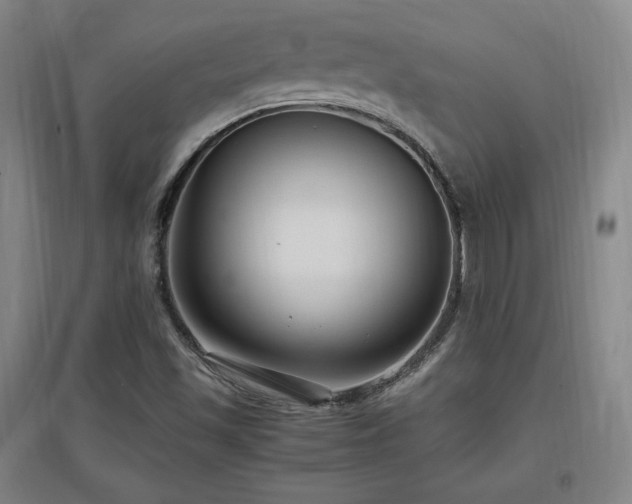 X0000097461501200802221200