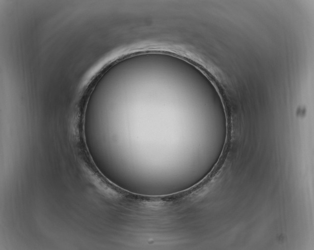 X0000097461502200802221200