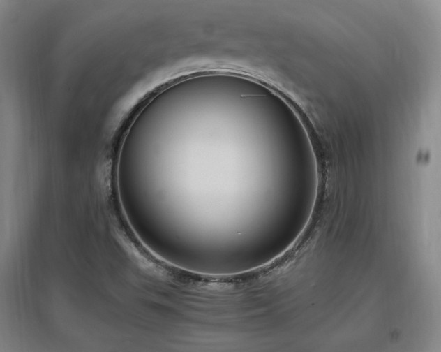 X0000097461503200802221200